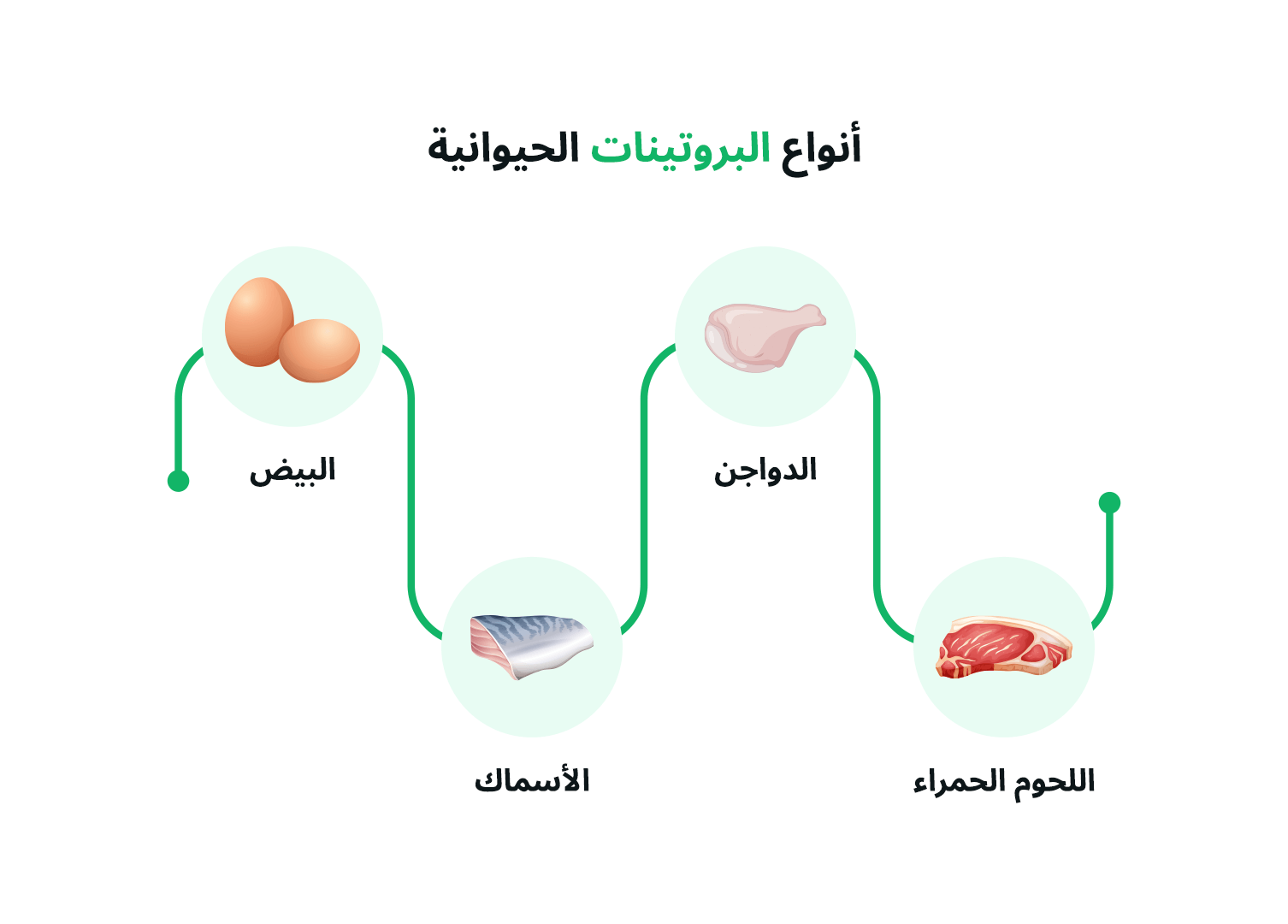 الصورة تحتوي على مخطط يوضح أنواع البروتينات الحيوانية. يتكون المخطط من أربع دوائر متصلة بخطوط، كل دائرة تحتوي على صورة لنوع من البروتينات الحيوانية واسمه باللغة العربية. الأنواع الموجودة هي: البيض، الدجاج، الأسماك، واللحوم الحمراء. العنوان الموجود في أعلى الصورة يقول "أنواع البروتينات الحيوانية". الألوان المستخدمة هادئة والتصميم بسيط وواضح.